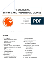 M7.5 Endocrine - : Thyroid and Parathyroid Glands