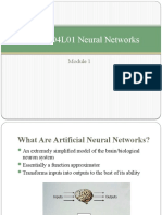 AI010 804L01 Neural Networks