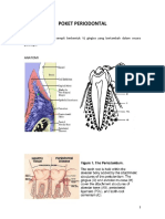 Poket Periodontal