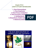 Plant Metabolism Chapter Overview