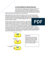 Section 8.5 Enzymes Can Be Inhibited by Specific Molecules