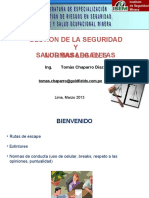 DIPLOMADO PUCP Gestión de La Seguridad y Salud Ocupacional Basada en Las Normas Nacionales 2013