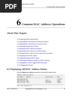 01-06 Common MAC Address Operations