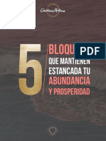5_Bloqueos Abundancia.pdf