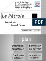 Nouveau Présentation Microsoft Office PowerPoint (4).pptx