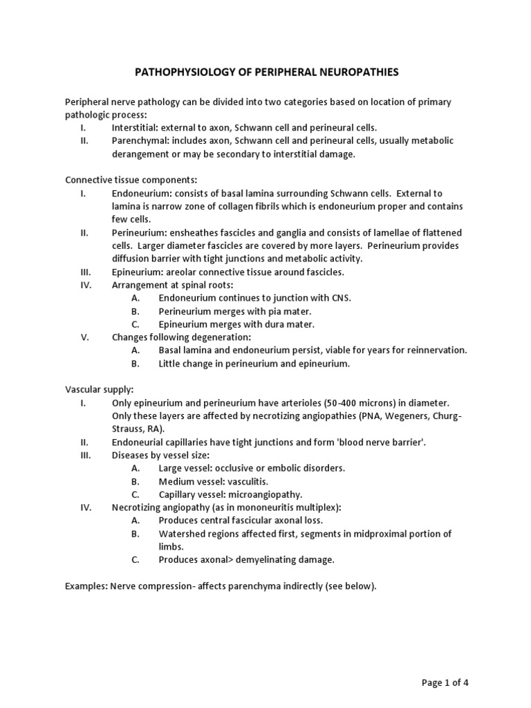 Pathophysiology of Peripheral Neuropathies | PDF | Myelin | Axon