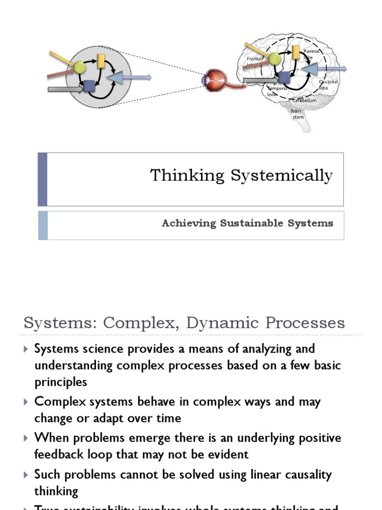 Systems Thinking for Sustainable Living | PDF | System | Sustainability