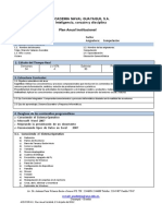 Plan Anual Institucional 8º