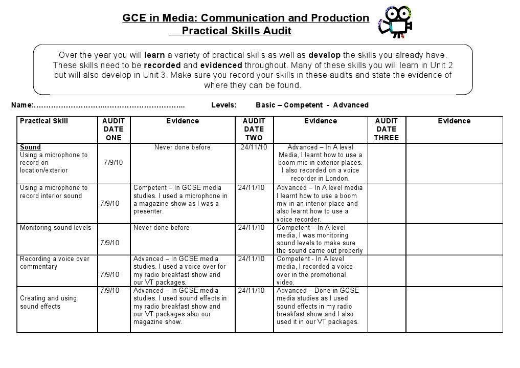 Media Production Skills Audit Guide | PDF | Video | Mass Media