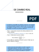 Tipo de Cambio Real PDF