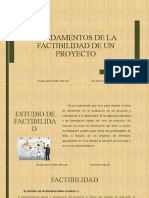 FUNDAMENTOS DE LA FACTIBILIDAD DE UN PROYECTO (2) .PPSX