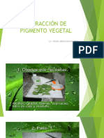 Practica de Extracción de Pigmento Vegetal