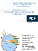 Gametogénesis. Formación Del Espermatozoide y Del Ovocito