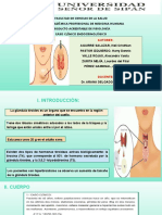 Diapositivas PA - FISIOLOGÍA