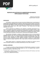 Resposta de Ecótipos de Andropogon gayanus à Fertilização Fosfatada