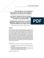 Enzimas de Almidon de Yuca PDF