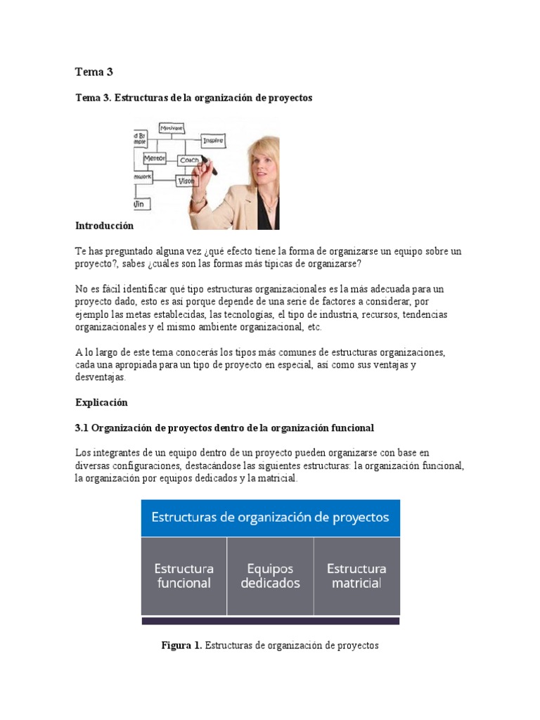 Tema 3 | PDF | Gestión de proyectos | Matriz (Matemáticas)