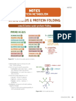 Notes-Protein Metabolism