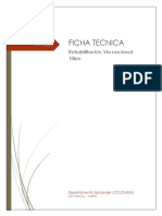 Fichas Tecnicas Rehabilitacion Pavi PDF