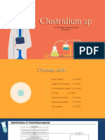 KEL 6 Clostridium sp-1