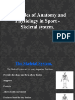Principles of Anatomy and Physiology in Sport