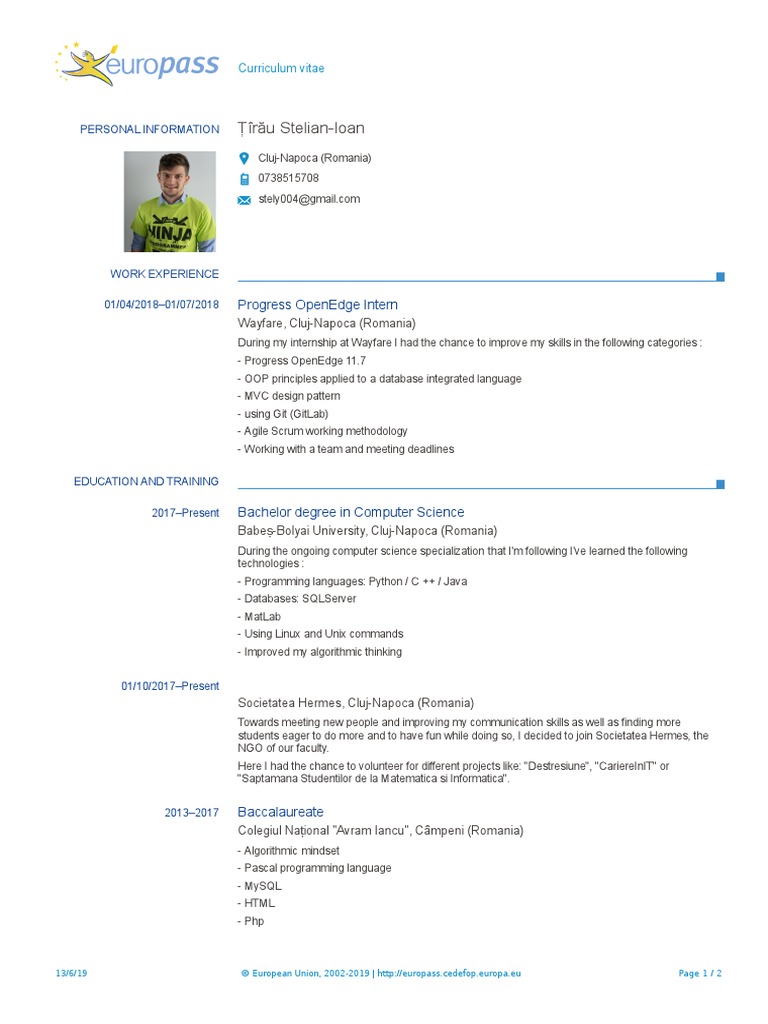0 Cv Tiraustelian Pdf Software Development Computer Programming