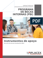 Programa de Becas Internas PDF