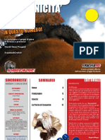 Sincronicità 1 Lug 2010 PDF