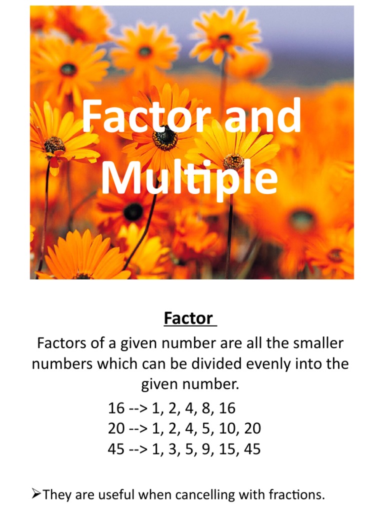 Factors, Multiples, Highest Common Factors and Lowest Common Multiples