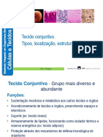 Tecido Conjuntivo PDF