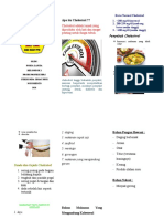 leaflet cholestrol.docx