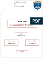 Circulatory System Report