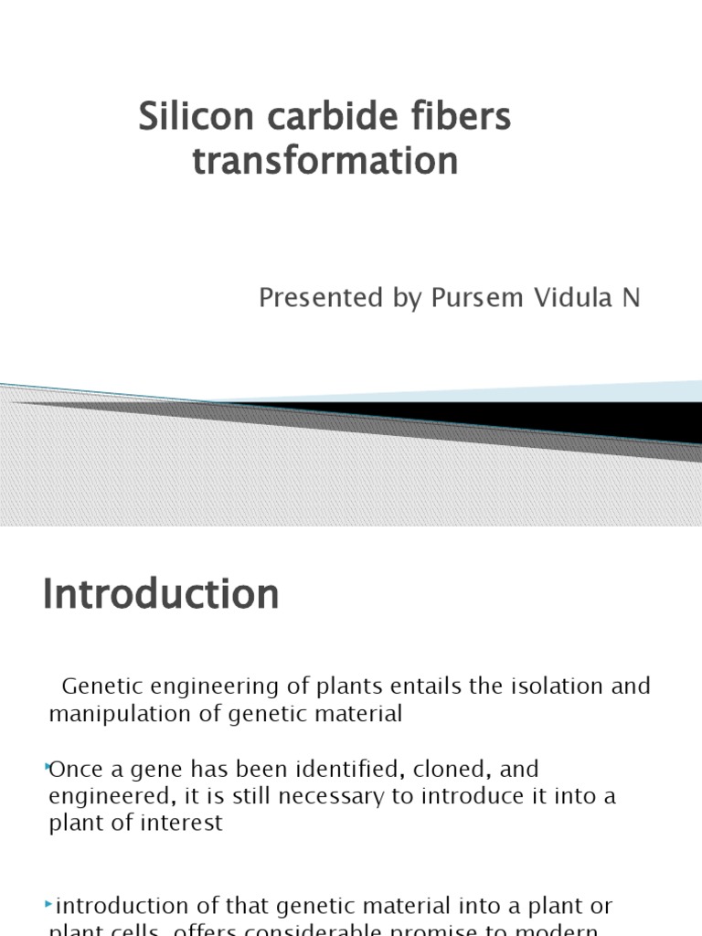 Silicon Carbide Fibers Transformation - pptx2 | PDF | Materials ...