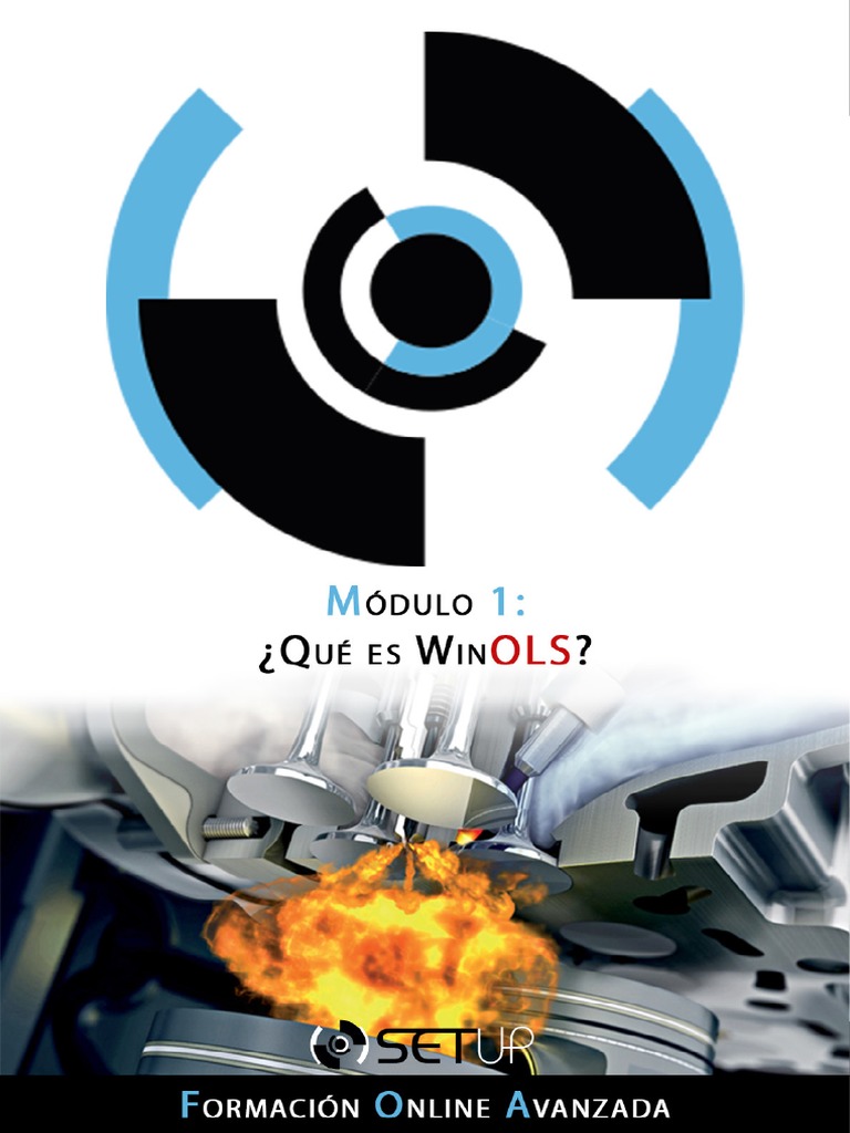 Introducción a WinOLS y su uso en chiptuning | PDF | Archivo de ...