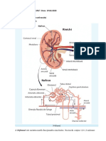 M67, Sist. Renal