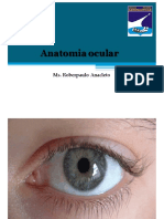 Aula 1 Anatomia ocular (3).pdf