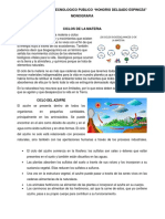 Monografia-Ciclos de La Materia PDF