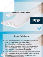 P3 Pemeriksaan Urine