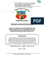 TDR Nº 003-2019-ELABORACION DEL EXPEDIENTE TECNICO_PISTAS_MOLINORAGRA