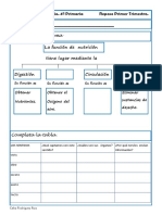 3-primaria-1cono.pdf