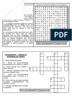 Cruzadinha e Caça Palavras Camadas Internas