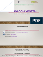 Actividades A Realizar - Fisiología Vegetal