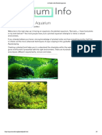 4.A Guide To The Planted Aquarium