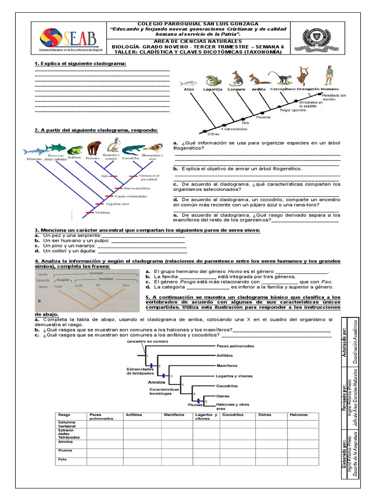 Guía Cladística y Claves Dicotómicas PDF Taxonomía (biología