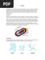 Bacterias (Fase Activa e Inactiva) | PDF