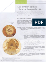 01. LA DIVISION CELULAR.pdf