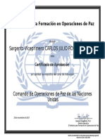 3.3 Diploma - Comando de Operaciones de Paz de Las Naciones Unidas