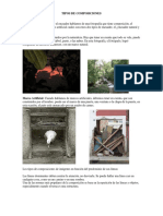 Tipos de Composiciones PDF