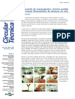 CircularTecnica11625514Cristina.pdf