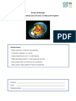 Ensayo Biología N°2